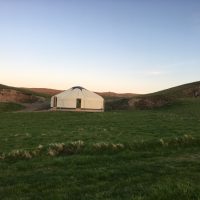 214AB5EA-04F7-486E-856C-1D8A518E30D4_1_105_c