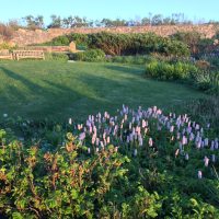 4A301EFE-D928-4078-8266-134317976346_1_105_c