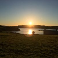 C71B0B15-8587-4A54-AB98-09646BCA7722_1_105_c