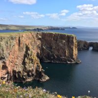 D3860686-5A7D-4757-BA25-8A6E46142841_1_105_c