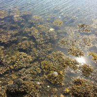 DC7E3D0C-C7B6-4E3F-8E6C-CAE6F248D6B4_1_105_c