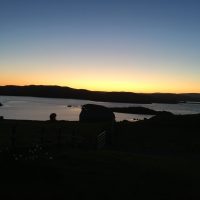 EE8020E8-72F3-4BE0-8BA8-6CA88232CAA1_1_105_c