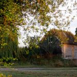 the-wisp-cabin-northblows-ashurst-sussex_cs_large_gallery_preview